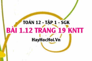 Bài 1.12 trang 19 Toán 12 tập 1 Kết nối tri thức